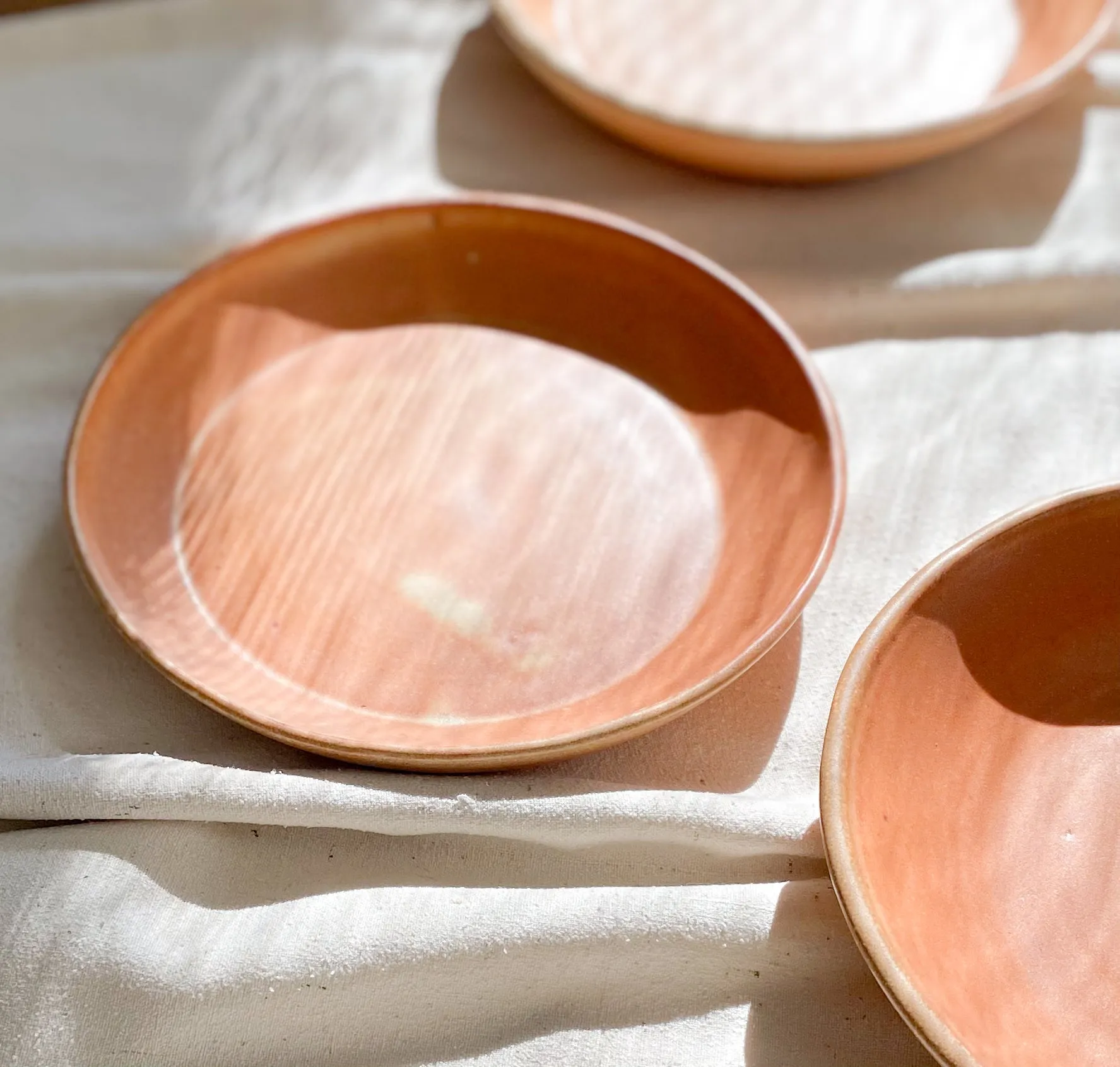 Vintage Terracotta Plate (Set of 3)