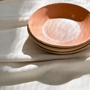 Vintage Terracotta Plate (Set of 3)
